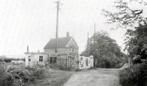 Willow Lane Crossing _ Hawkhurst Branch Line