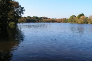 furnace pond horsmonden