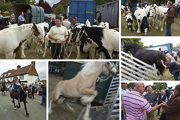 horsmonden gypsy horse fair scenes