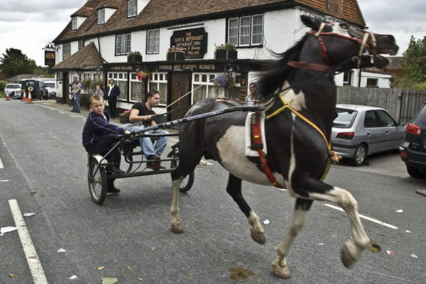 horsmonden gypsy horse fair