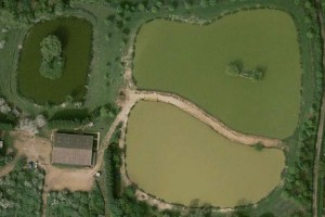 Pittlands Lakes Angling Club