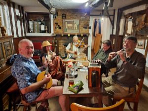 Hazel Street Irregulars acoustic music