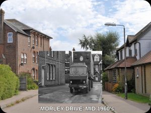 Louis Reece fruit importer, wholesaler and packer