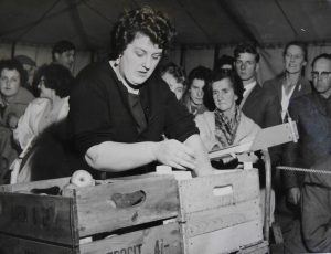 Louis Reece fruit importer, wholesaler and packer