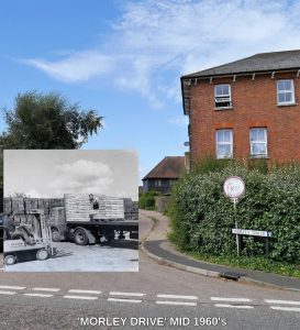 Louis Reece fruit importer, wholesaler and packer