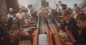 Louis Reece fruit importer, wholesaler and packer